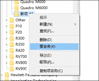 重命名項名稱為之前復制的顯卡名稱 重命名項名稱為之前復制的顯卡名稱